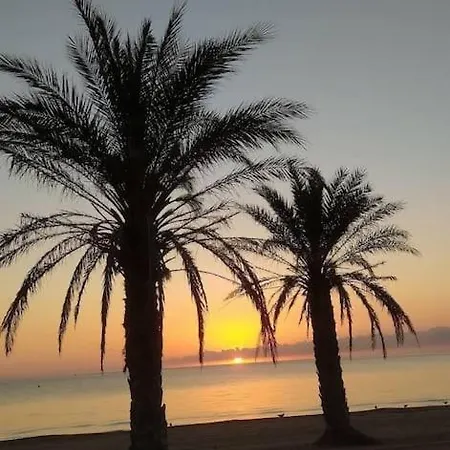 Charm With An Oasis By The Appartement Dénia